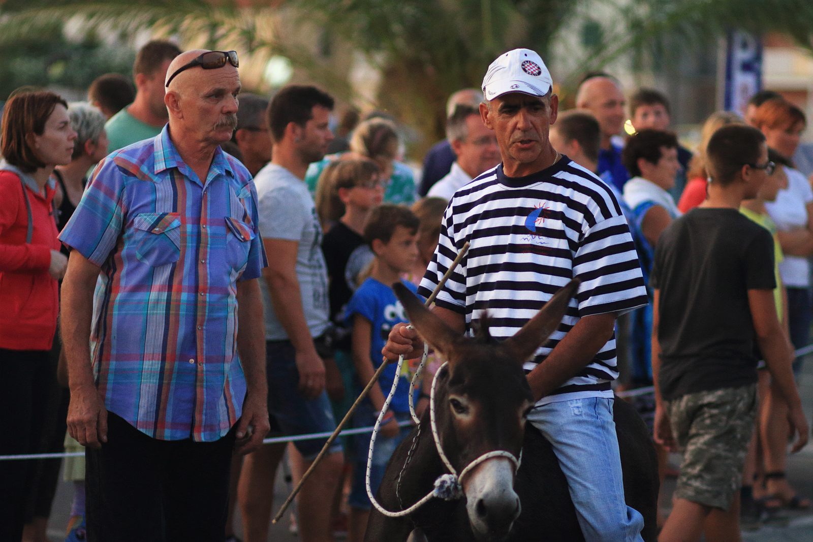 Trka Tovarov – 48. Memorijal Kenje Vijole Sukošan  Photo: Leo Banić