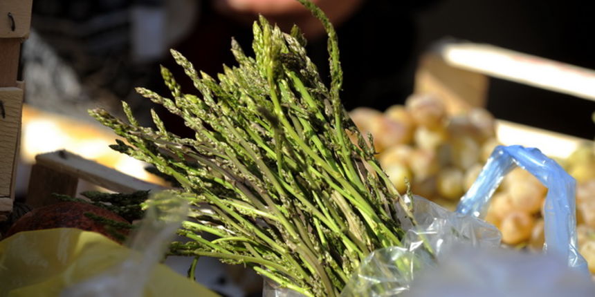 Sibenik ,241012.
Nakon jesenskih kisa ponovo su pocele rasti sparoge , jedan strucak sparoga na sibenskoj trznici privlacio je poglede kupaca.
Foto: Niksa Stipanicev / CROPIX Sibenik ,241012.
Nakon jesenskih kisa ponovo su pocele rasti sparoge , jedan strucak sparoga na sibenskoj trznici privlacio je poglede kupaca.
Foto: Niksa Stipanicev / CROPIX