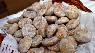 Turopoljsko srce srcu Zadra