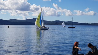 Zadarska Koka 2016. 22. listopada 2016. Foto: Mladen Malik Zadarska Koka 2016. 22. listopada 2016. Foto: Mladen Malik