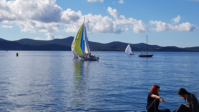 Zadarska Koka 2016. 22. listopada 2016. Foto: Mladen Malik Zadarska Koka 2016. 22. listopada 2016. Foto: Mladen Malik