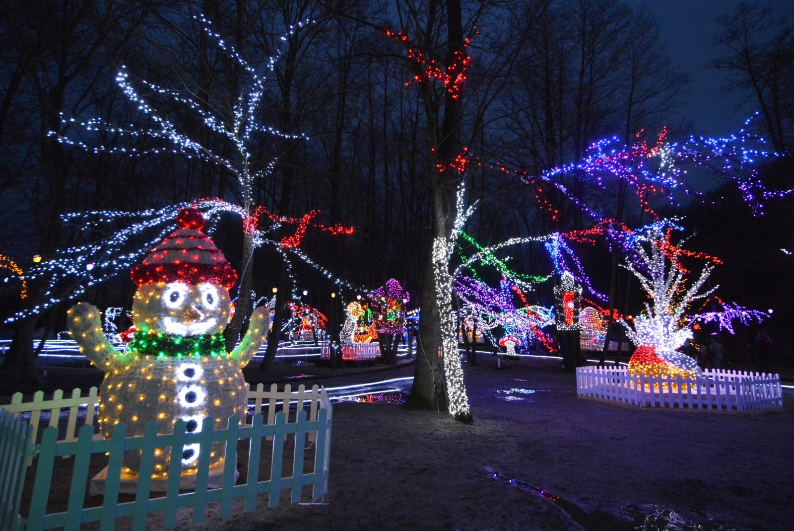 Uz 2,5 milijuna lampica zasjala ovogodišnja božićna bajka u Salajlandu Uz 2,5 milijuna lampica zasjala ovogodišnja božićna bajka u Salajlandu