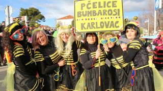 2. Međunarodna karnevalska povorka Virskih maškara