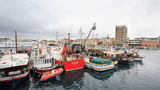 Ribarice u zadarskoj luci, Foto: Leo Banić