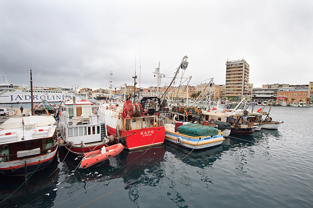 Ribarice u zadarskoj luci, Foto: Leo Banić