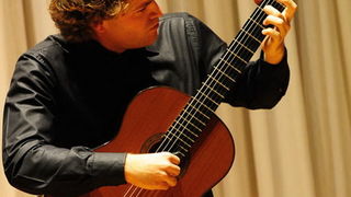 Koncert Petra Culica