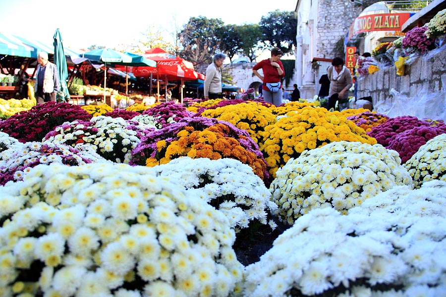 Započela prodaja cvijeća na zadarskoj tržnici, foto-I. Perinčić Započela prodaja cvijeća na zadarskoj tržnici, foto-I. Perinčić