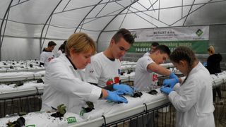 OLYMPUS DIGITAL CAMERA OLYMPUS DIGITAL CAMERA