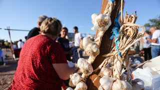 Na vidikovcu Kamenjak održava se 8. sajam “Luka i igara” Na vidikovcu Kamenjak održava se 8. sajam “Luka i igara”