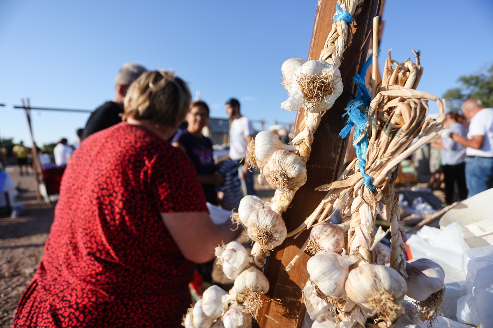 Na vidikovcu Kamenjak održava se 8. sajam “Luka i igara” Na vidikovcu Kamenjak održava se 8. sajam “Luka i igara”