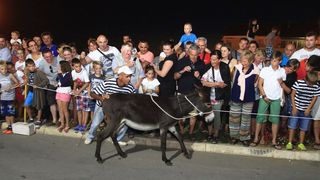 Trka Tovarov – 48. Memorijal Kenje Vijole Sukošan  Photo: Leo Banić
