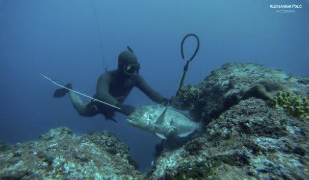 10. svibnja – drugi Dive IN kup u Zadru