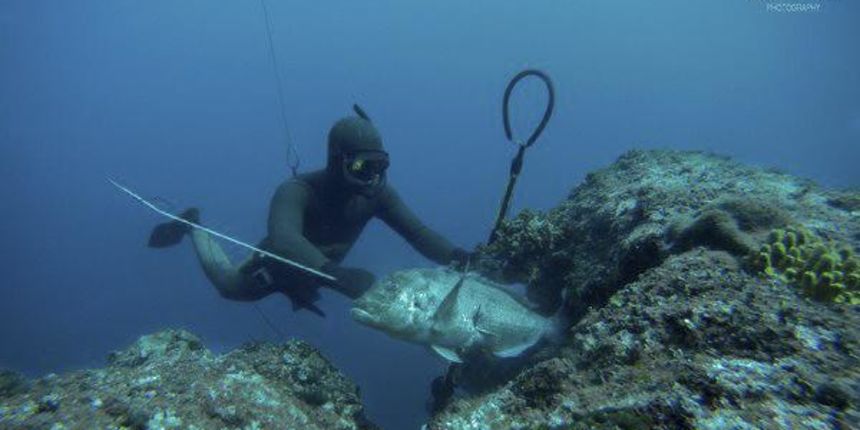 10. svibnja – drugi Dive IN kup u Zadru 10. svibnja – drugi Dive IN kup u Zadru