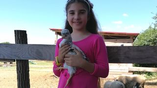 Libretići na snimanju spota u Ponylandu Libretići na snimanju spota u Ponylandu