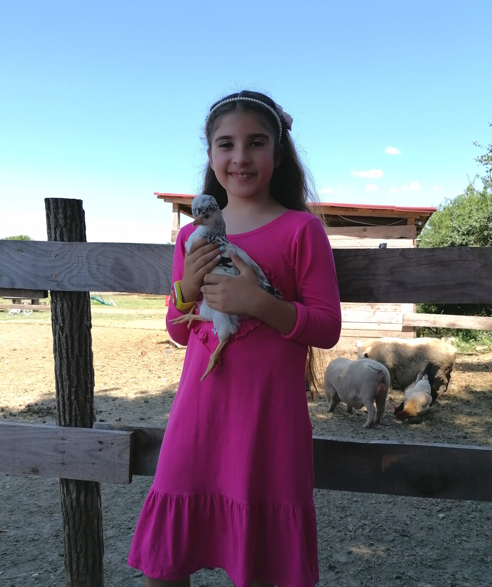 Libretići na snimanju spota u Ponylandu Libretići na snimanju spota u Ponylandu