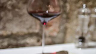 Sommelier Zrno birao vrhunska vina, a chef Began oduševio novim menijem restorana Foša