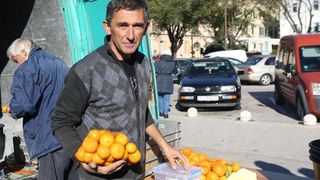 Mandarine na šibesnkoj