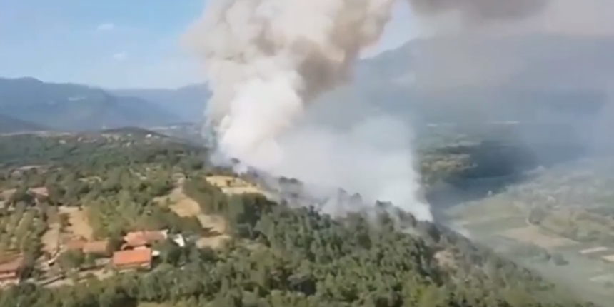 Požar u Šibeniku Požar u Šibeniku