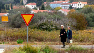 Image 1190443 (auto)