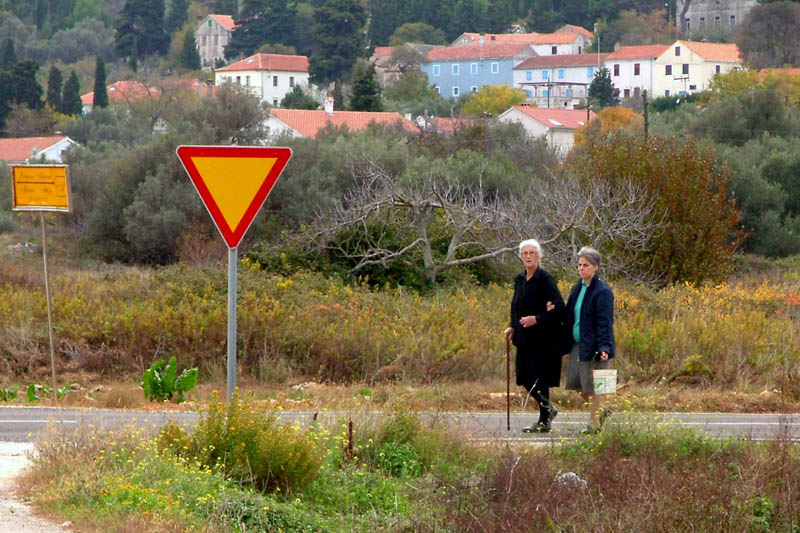 Image 1190443 (auto)