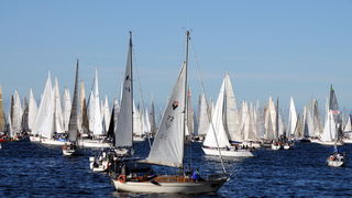 Trst: Barcolana 2009.