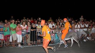 Tisno: 7. Međunarodna trka tovarov, Foto: Edin Kadić Tisno: 7. Međunarodna trka tovarov, Foto: Edin Kadić