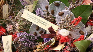 Svečano otvorena manifestacija “Zadar čita 2016”