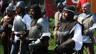 Zvonimirovi dani, Knin 28. i 29. lipnja 2008.