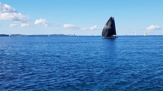 Zadarska Koka 2016. 22. listopada 2016. Foto: Mladen Malik Zadarska Koka 2016. 22. listopada 2016. Foto: Mladen Malik