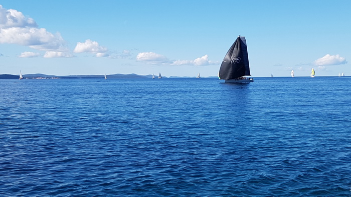 Zadarska Koka 2016. 22. listopada 2016. Foto: Mladen Malik Zadarska Koka 2016. 22. listopada 2016. Foto: Mladen Malik
