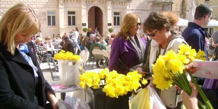 Dan narcisa u Zadru, 27. ožujka 2010. (Foto: Mirta Krupić) Dan narcisa u Zadru, 27. ožujka 2010. (Foto: Mirta Krupić)