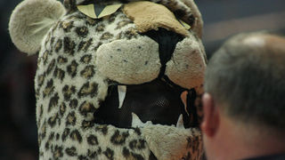 KK Zadar – KK Hapoel Jeruzalem 86-69