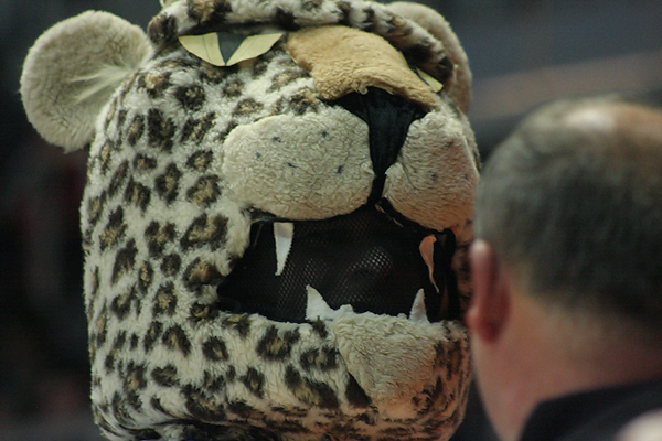 KK Zadar – KK Hapoel Jeruzalem 86-69