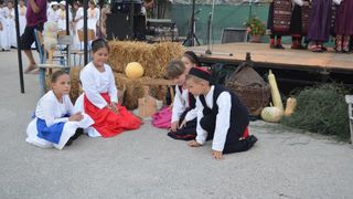 “Dođi diko u Kotare ravne” – Zemunik 2015