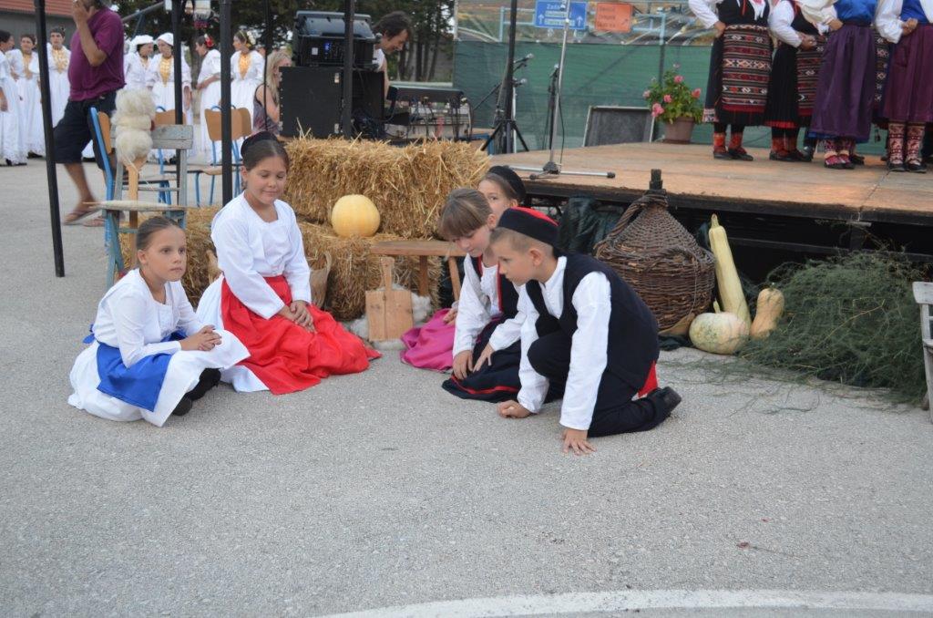 “Dođi diko u Kotare ravne” – Zemunik 2015