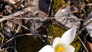 Šetnjica poučnom stazom sv. Leopolda Mandića, Mosor, foto: Darko Belančić