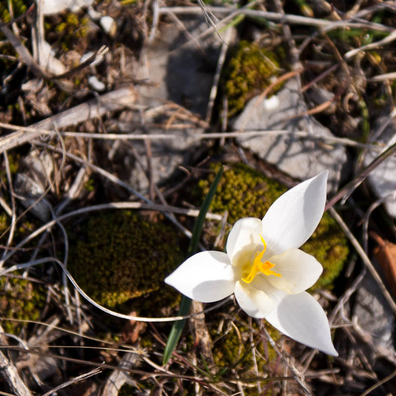 Šetnjica poučnom stazom sv. Leopolda Mandića, Mosor, foto: Darko Belančić
