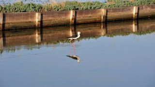 Nin: Prvi rođendan Muzeja soli