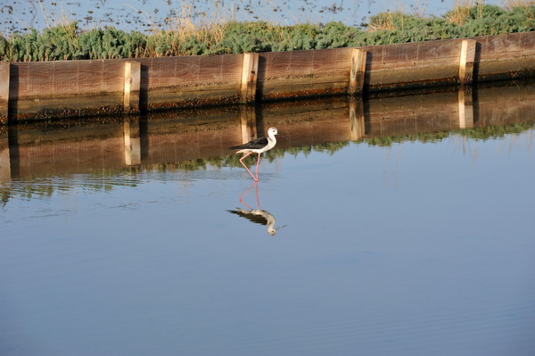 Nin: Prvi rođendan Muzeja soli