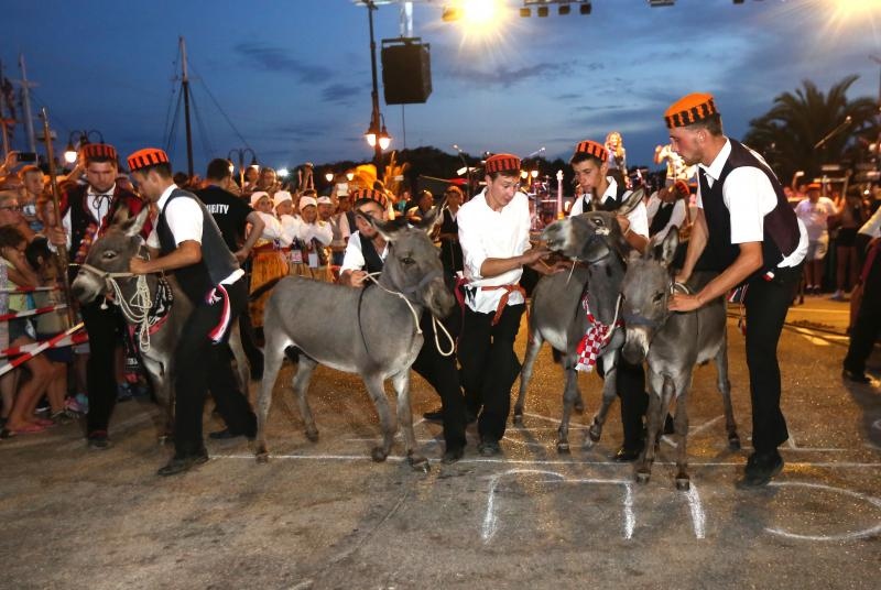 U Tribunju su održane 49. po redu magareće trke na kojima je sudjelovalo 12 jahača, a pobjedu je odnio Roko Popov na magarcu Renault 4. Photo: Duško Jaramaz/PIXSELL U Tribunju su održane 49. po redu magareće trke na kojima je sudjelovalo 12 jahača, a pobjedu je odnio Roko Popov na magarcu Renault 4. Photo: Duško Jaramaz/PIXSELL