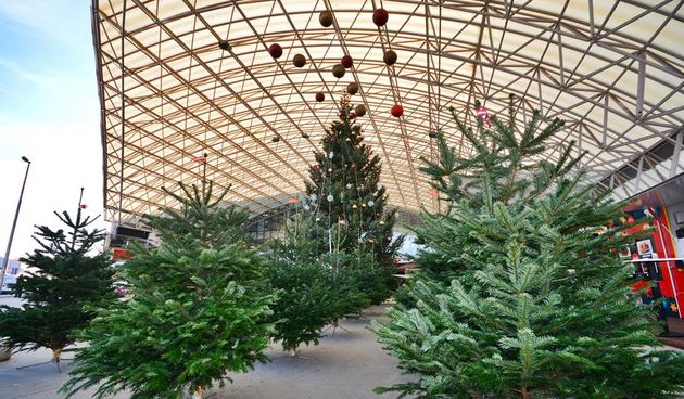 City Gallerija priredila Božićni sajam, Foto: Iva Perinčić