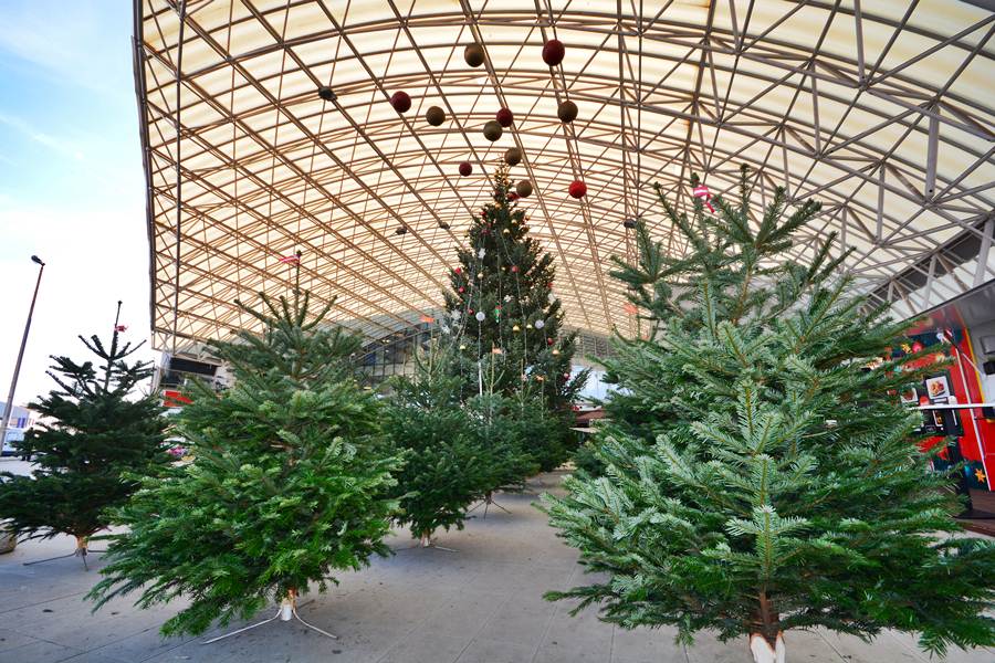 City Gallerija priredila Božićni sajam, Foto: Iva Perinčić City Gallerija priredila Božićni sajam, Foto: Iva Perinčić