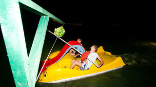 Biograd na Moru: 3. Morska alga, Foto: Franjo Jurić