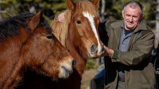 Veliko Rujno: Drago Krapić vlasnik je pedesetak konja koji obitavaju na velebitskim pašnjacima