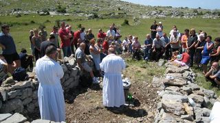 Image 1177335 (auto)