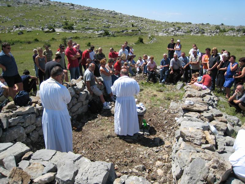 Image 1177335 (auto)