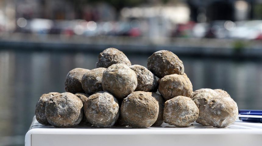 Bio kugle obnavljaju morsko dno