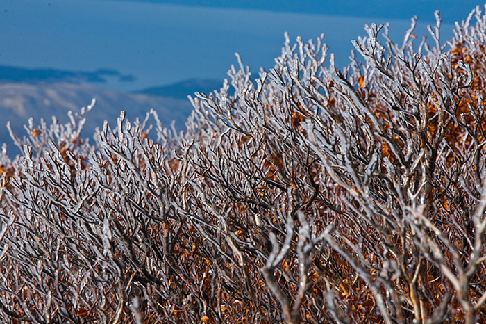 Đir do vrha Zečjak na sjevernom Velebitu, Foto: Leo Banić