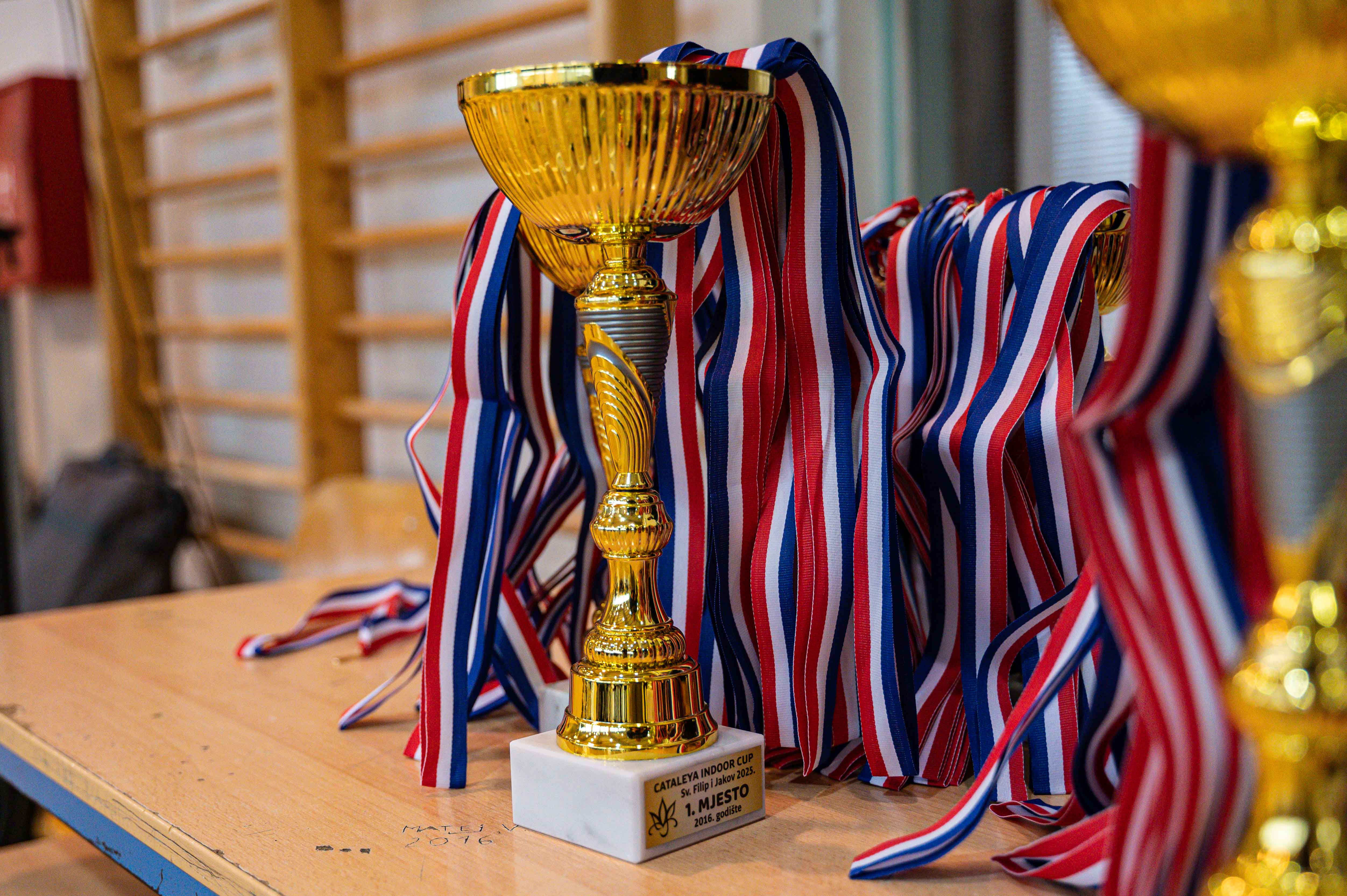 1.Cateleya indoor Cup 1.Cateleya indoor Cup