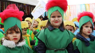 Virski karnevalić 2016. Virski karnevalić 2016.